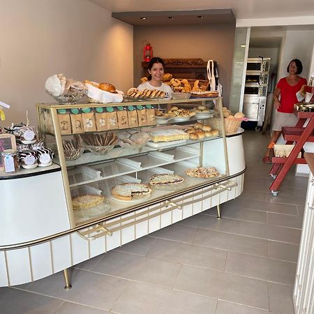 Haus Rebenblick Apartman Dierbach Kültér fotó
