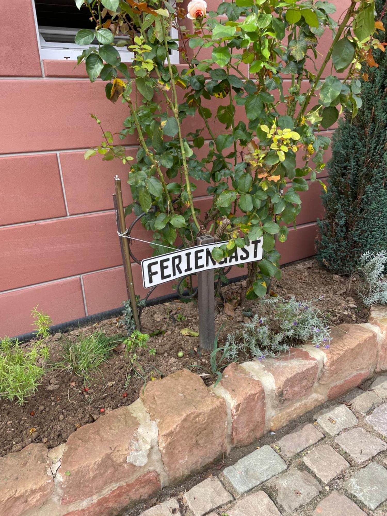 Haus Rebenblick Apartman Dierbach Kültér fotó